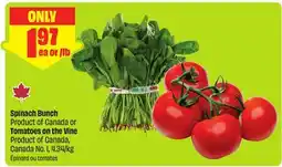 FreshCo Spinach Bunch Product of Canada or Tomatoes on the Vine Product of Canada, Canada No. 1, 4.34/Kg offer