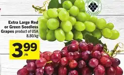 Foodland Extra Large Red or Green Seedless Grapes offer