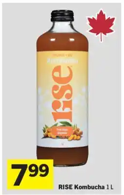 Foodland Kombucha offer