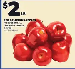 Loblaws RED DELICIOUS APPLES offer