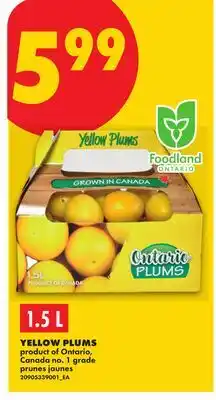 No Frills YELLOW PLUMS offer
