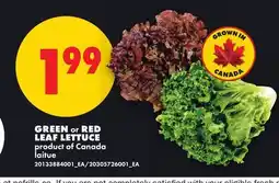 No Frills GREEN OR RED LEAF LETTUCE offer