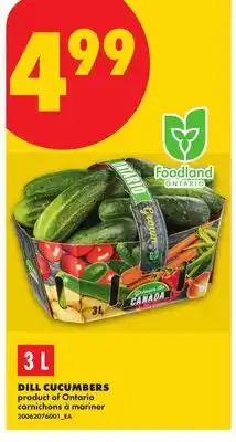 No Frills DILL CUCUMBERS offer