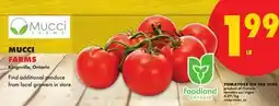 No Frills TOMATOES ON THE VINE offer