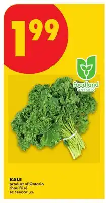 No Frills KALE offer
