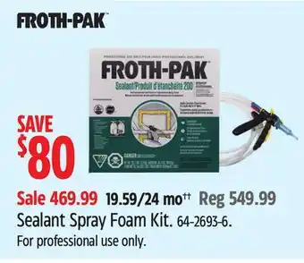Canadian Tire Froth-pak Sealant Spray Foam Kit offer