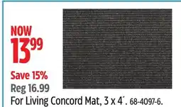 Canadian Tire For Living Concord Mat offer