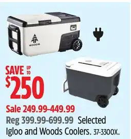Canadian Tire Selected Igloo and Woods Coolers offer
