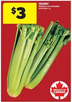 Real Canadian Superstore CELERY offer