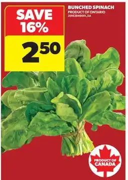 Real Canadian Superstore BUNCHED SPINACH offer