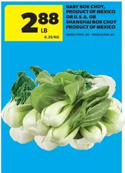 Real Canadian Superstore BABY BOK CHOY, A OR SHANGHAI BOK CHOY offer