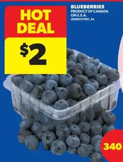 Real Canadian Superstore BLUEBERRIES offer