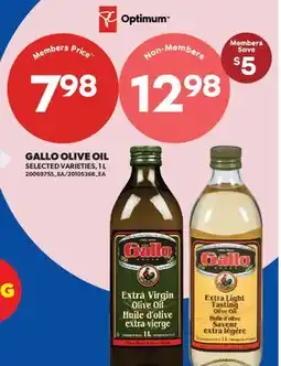 Real Canadian Superstore GALLO OLIVE OIL offer