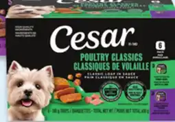 Walmart Cesar wet dog food offer