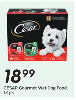 Sobeys Gourmet Wet Dog Food offer