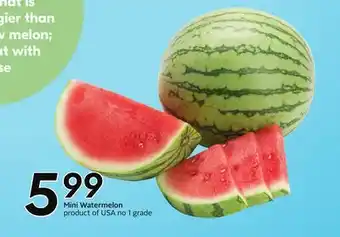 Sobeys Mini Watermelon offer