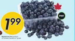 Sobeys Blueberries offer