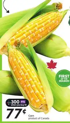 Sobeys Corn offer