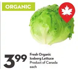 Longo's Fresh Organic Iceberg Lettuce offer