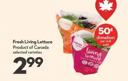 Longo's Fresh Living Lettuce offer