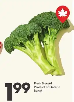 Longo's Fresh Broccoli offer