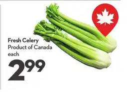 Longo's Fresh Celery offer