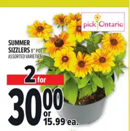 Metro SUMMER SIZZLERS offer