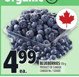 Metro BLUEBERRIES offer