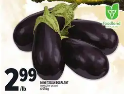 Metro MINI ITALIAN EGGPLANT offer