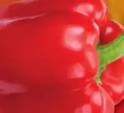 Metro LARGE RED, ORANGE OR YELLOW SWEET PEPPERS offer