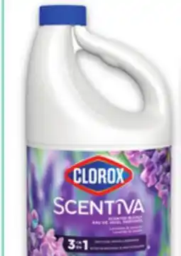 Metro CLOROX BLEACH offer