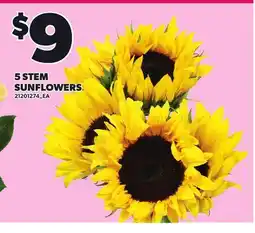 Loblaws 5 STEM SUNFLOWERS offer