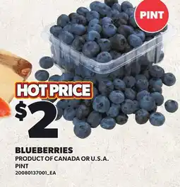 Loblaws BLUEBERRIES offer