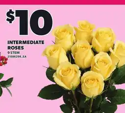 Loblaws INTERMEDIATE ROSES, 9 STEM offer