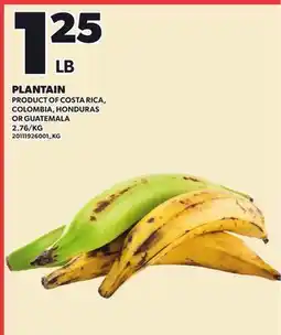 Loblaws PLANTAIN offer