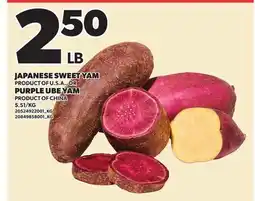 Loblaws JAPANESE SWEET YAM OR PURPLE UBE YAM offer