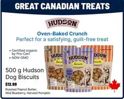 Ren’s Pets Depot Hudson Dog Biscuits offer