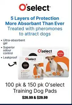 Ren’s Pets Depot O'select Training Dog Pads offer