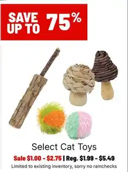 Ren’s Pets Depot Select Cat Toys offer