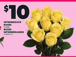 Independent Grocer INTERMEDIATE ROSES, 9 STEM offer