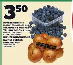 Independent Grocer BLUEBERRIES PINT, FARMER'S MARKET YELLOW ONIONS, 3 LB BAG offer