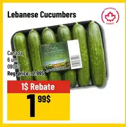 Mayrand Lebanese Cucumbers offer
