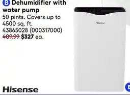 RONA Hisense Dehumidifier with water pump offer