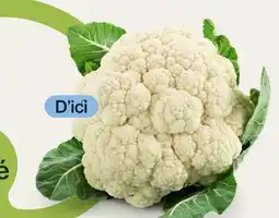 Avril Québec chou-fleur bio offer
