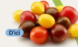 Avril Québec tomates cerises bios de couleurs variées offer