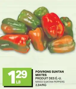 L'Intermarché POIVRONS SUNTAN MIXTES | MIXED SUNTAN PEPPERS offer