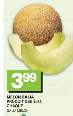 L'Intermarché MELON GALIA | GALIA MELON offer