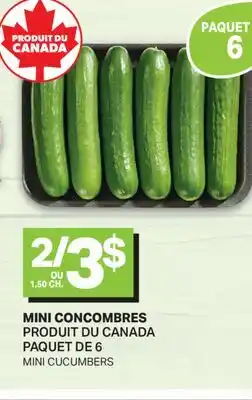 L'Intermarché MINI CONCOMBRES, PAQUET DE 6 | MINI CUCUMBERS offer