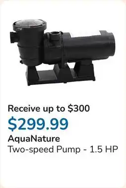 Club Piscine Two-speed Pump - 1.5 HP offer