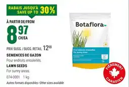 BMR SEMENCES DE GAZON offer